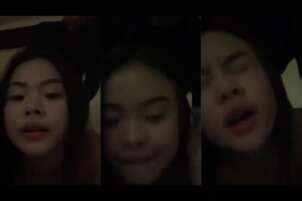 xbree1.